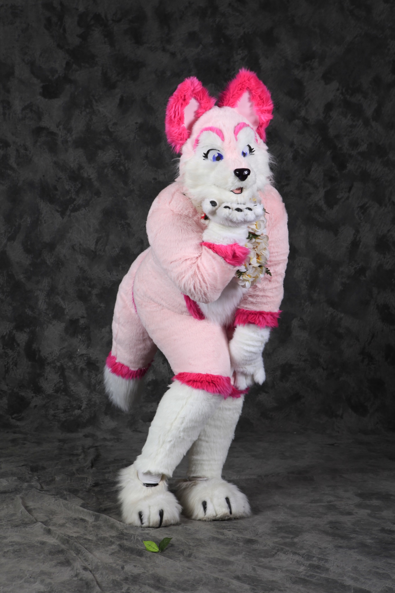 The Fursuit Database