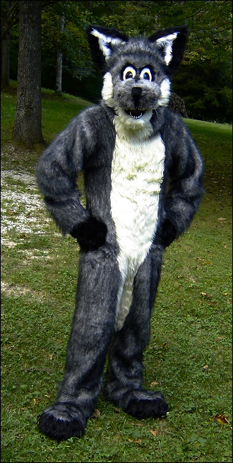 The Fursuit Database