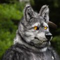 Werewolf66